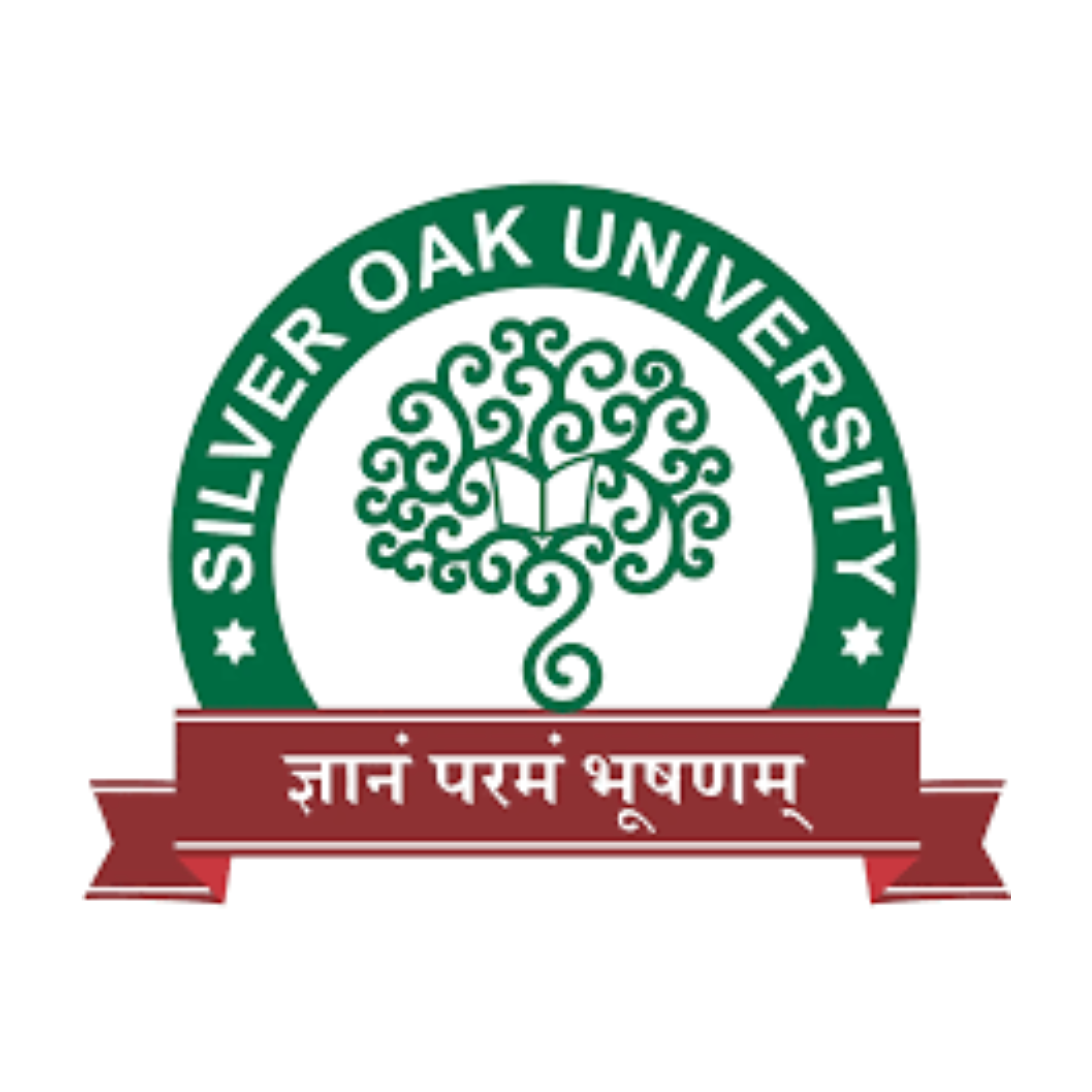 Silver Oak University